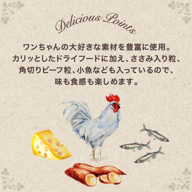 グラン・デリ カリカリ仕立て 成犬用 味わいビーフ入り セレクト