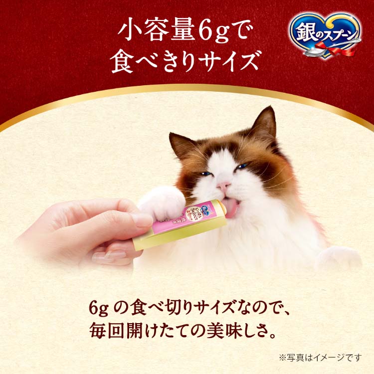 銀のスプーン おやつ とろリッチ 3種のアソート 鶏ささみ＆さけ＆ぶり