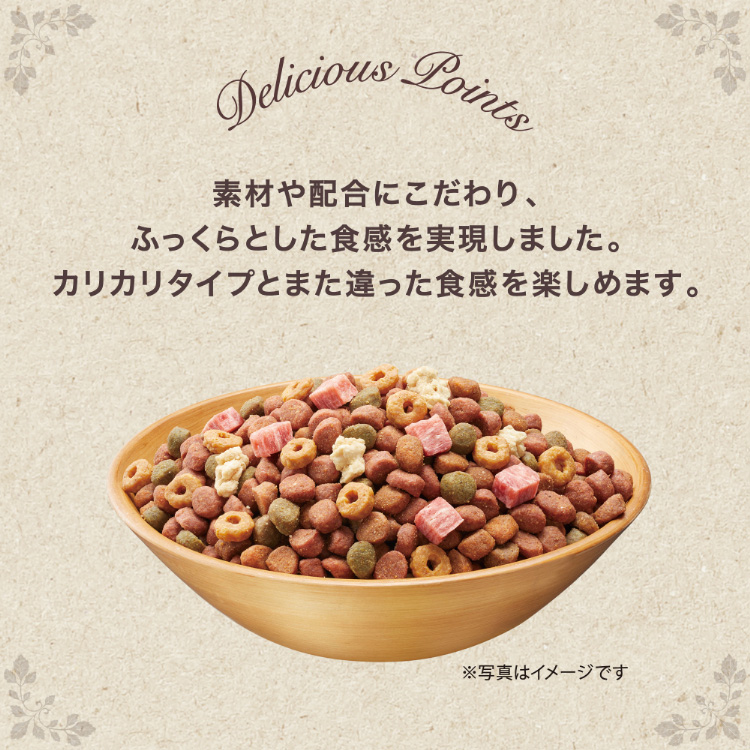 シニア犬用食事まとめてセット このこのごはん グラン・デリ Amazon.co.jp: グラン・デリ 【ジャンボパック】グランデリ