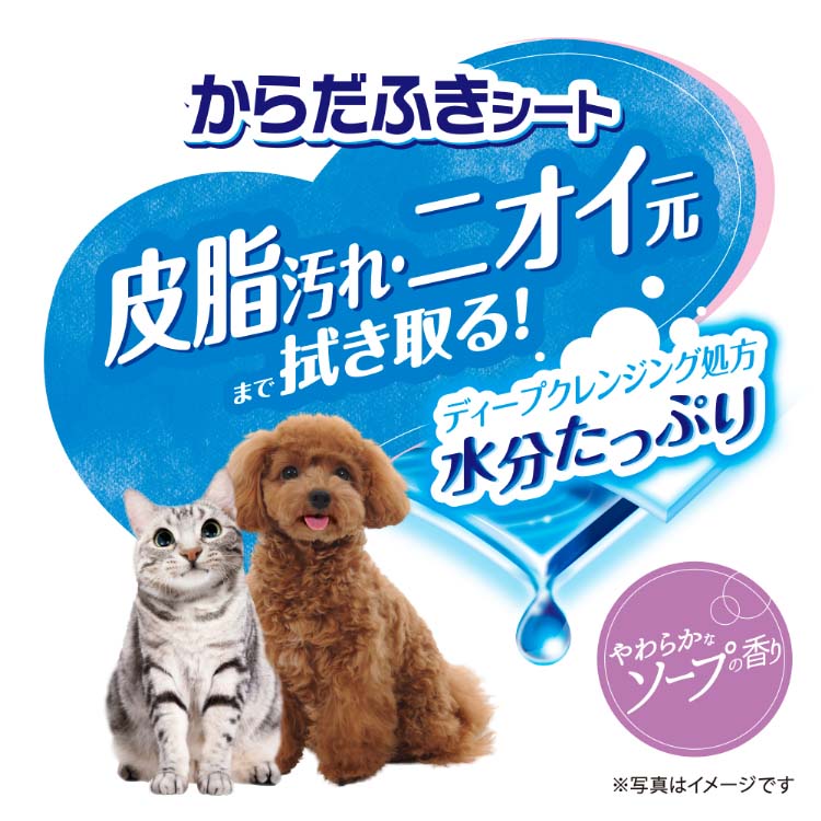 デオクリーン からだふきシート 小型犬・猫用 香り付き ( 28枚入