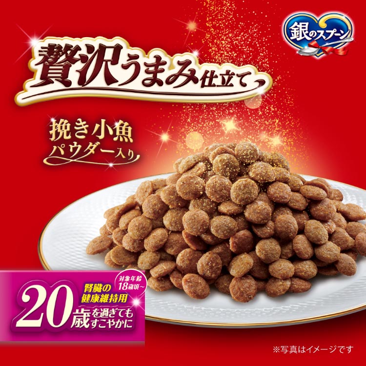 銀のスプーン 贅沢うまみ仕立て 腎臓の健康維持用 20歳を過ぎて