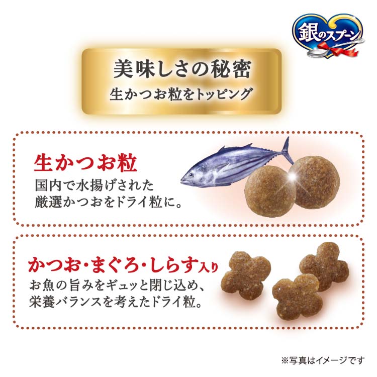 銀のスプーン 国産生かつおin食事の吐き戻し軽減フード 海の幸