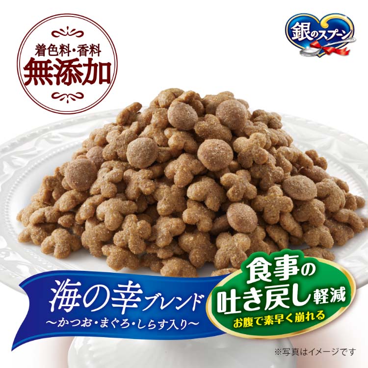銀のスプーン 国産生かつおin食事の吐き戻し軽減フード 海の幸