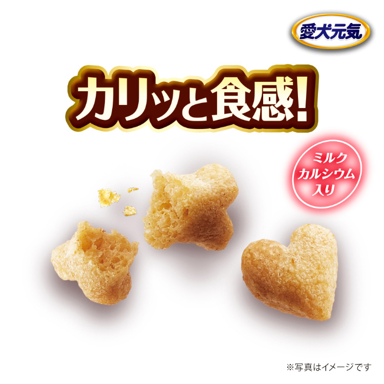 愛犬元気 全成長段階用 ビーフ・緑黄色野菜・小魚入り ( 6kg