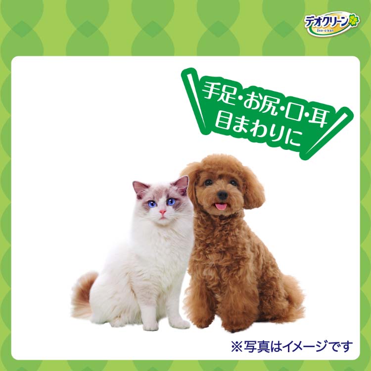 デオクリーン 純水99％ ウェットティッシュ つめかえ用 ( 70枚*3個入
