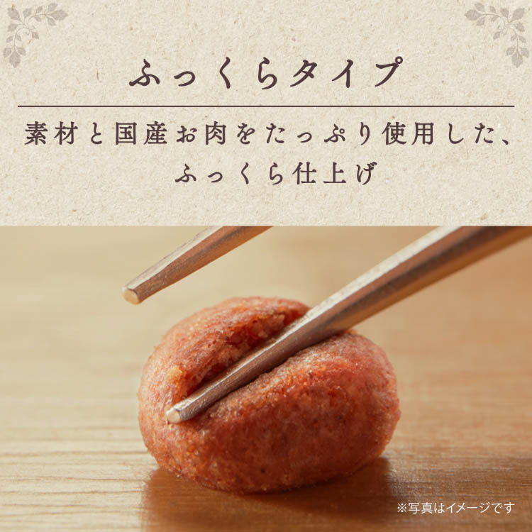 グラン・デリ ソフト 10歳以上用 鶏ささみ・ビーフ・緑黄色野菜・小魚