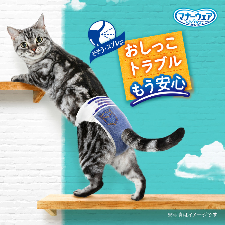 マナーウェア ねこ用 猫用おむつ Sサイズ ( 16枚入 )/ マナーウェア 