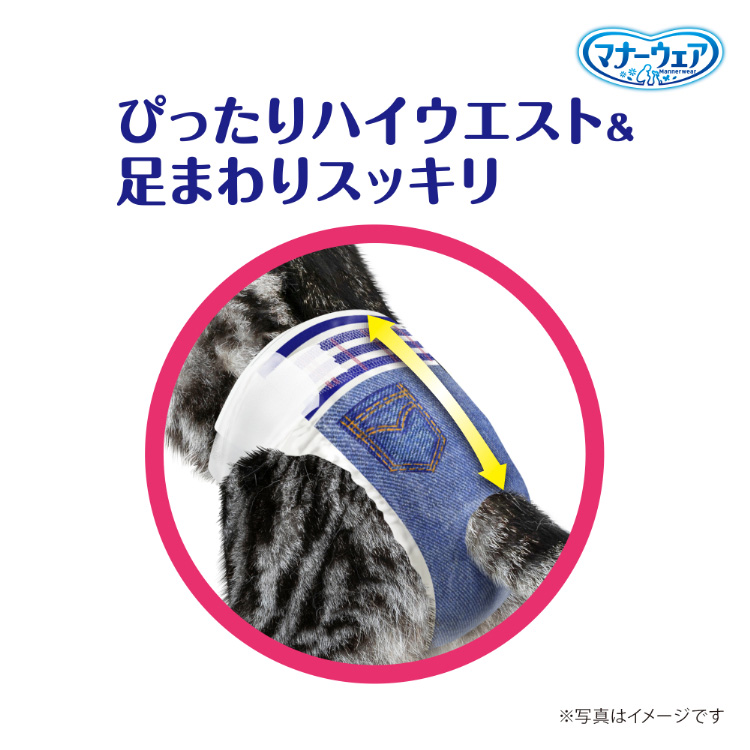 マナーウェア ねこ用 猫用おむつ Sサイズ ( 38枚入 )/ マナーウェア