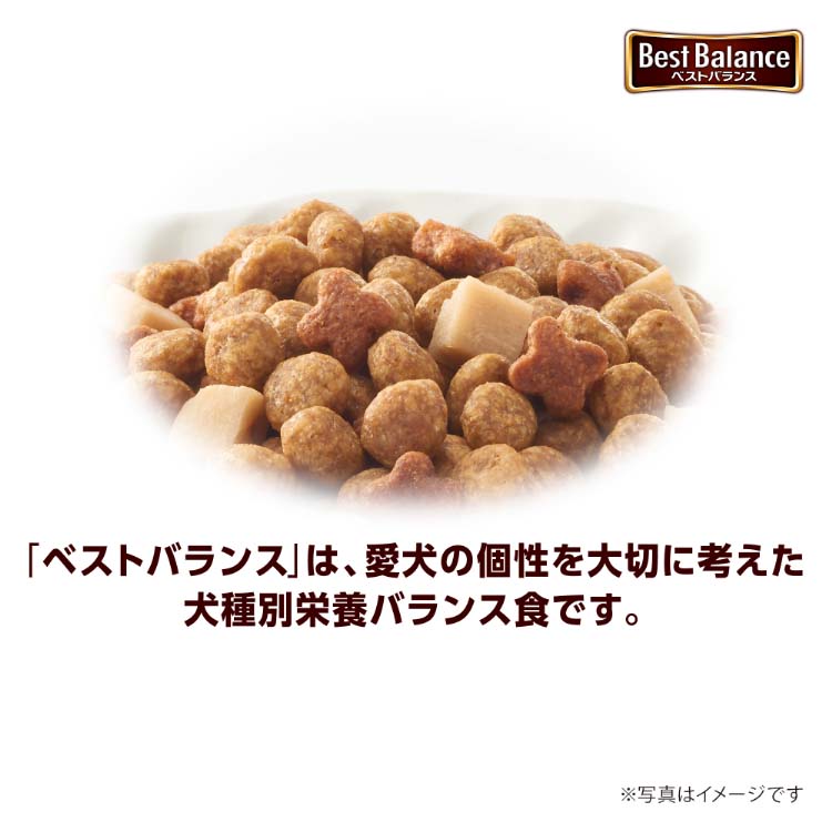 ドッグフード未開封ベストバランス　まとめ買い値下げ ベストバランス カリカリ仕立て ミニチュア・ダックスフンド用 13歳