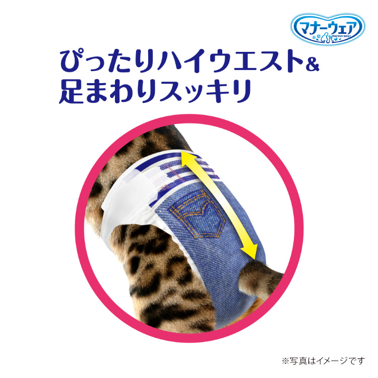 マナーウェア ねこ用 猫用おむつ Mサイズ ( 36枚入 )/ マナーウェア