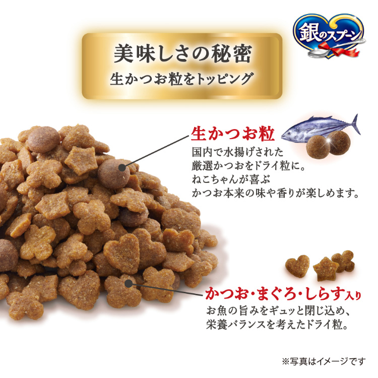 銀のスプーン国産生かつおin海の幸ブレンド 猫ドライフード