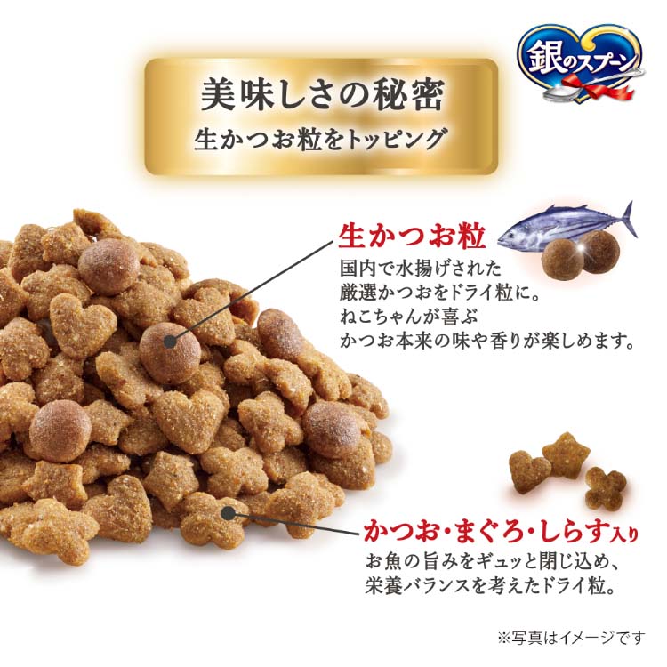 y/d ドライフード 2kg 1袋＋ ウェットフード 156g　1個 Amazon | ヒルズ プリスクリプションダイエット キャットフード