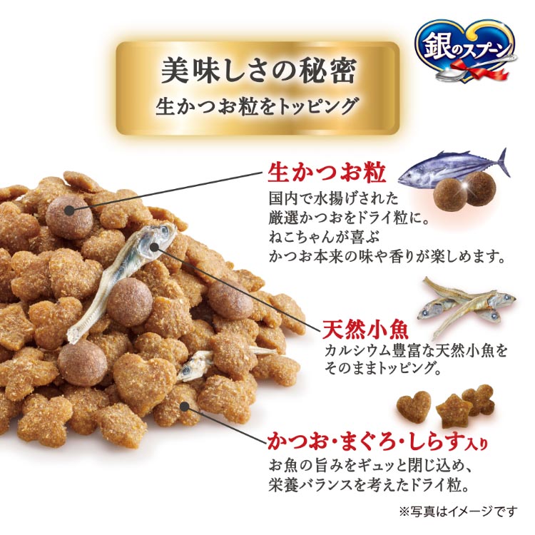銀のスプーン国産生かつおin海の幸ブレンド小魚添え 猫