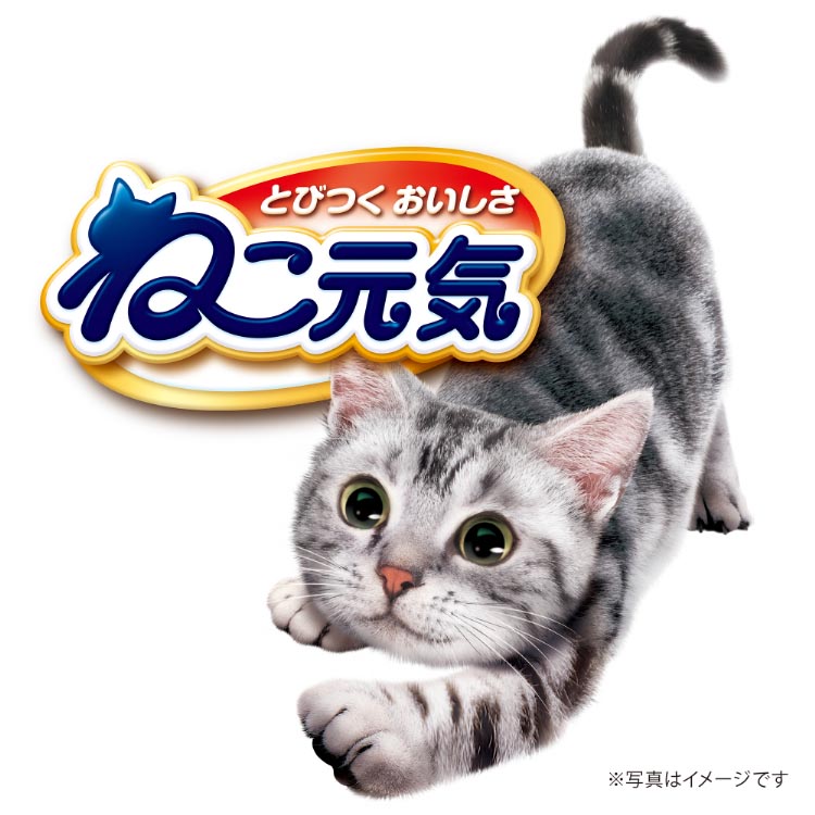 ねこ元気 キャットフード ドライ お魚と野菜ミックス 国産 ユニチャーム ( 2kg )/ ねこ元気 ( キャットフード )