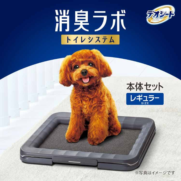デオシート 消臭ラボ本体セット 犬用トイレ レギュラー ( 1セット