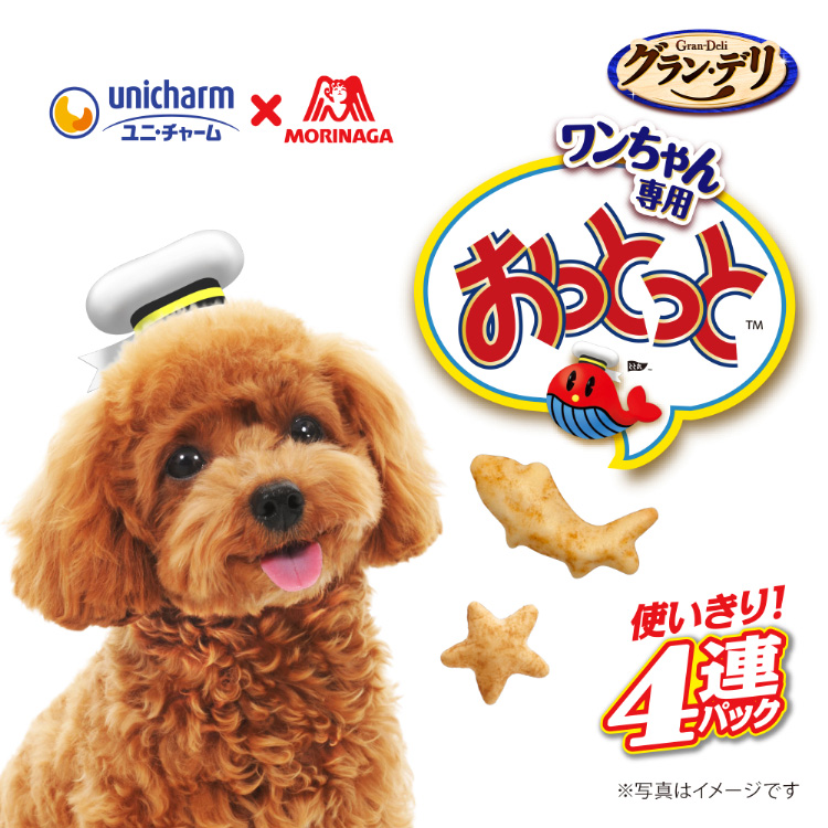 ドッグダイナー 犬用ケーキ 無添加 チキン 国産 有機素材 小型犬
