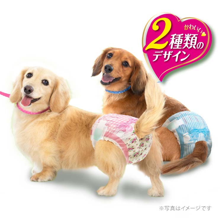 販売での到着 マナーウェア 犬用 おむつ 女の子用 Sサイズ 小型犬用