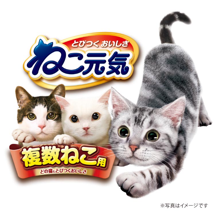 ねこ元気 複数ねこ用 お魚とお肉のスペシャルブレンド   / ねこ