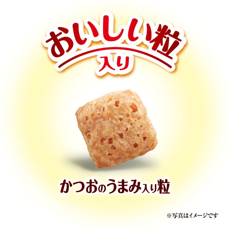 厚底スニーカー （ホワイト） -YOSUKE U・S・A 公式
