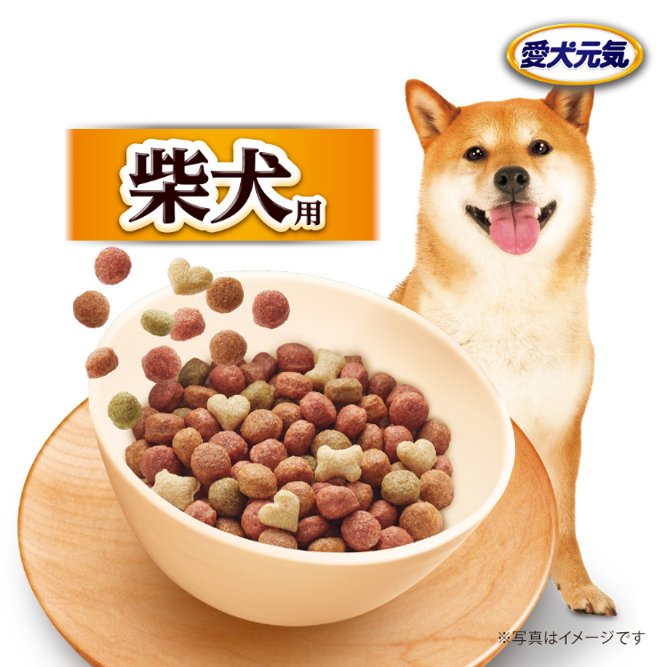 愛犬元気 柴犬用 ビーフ・緑黄色野菜・小魚入り ( 2.1kg )/ 愛犬元気