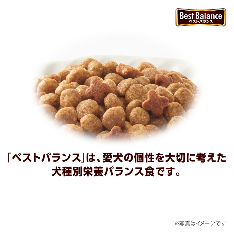 ベストバランス カリカリ仕立て 柴犬用 ( 5.5kg )/ : 爽快