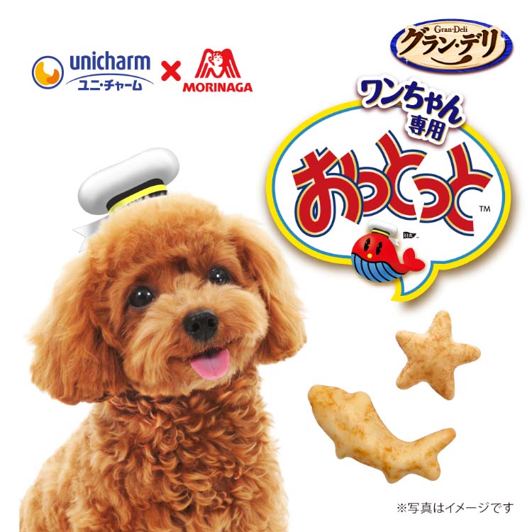 100g×24袋入　グラン・デリ おっとっと犬用おやつ シーフード味 グラン・デリ ワンちゃん専用おっとっと スイートポテト味 おやつ