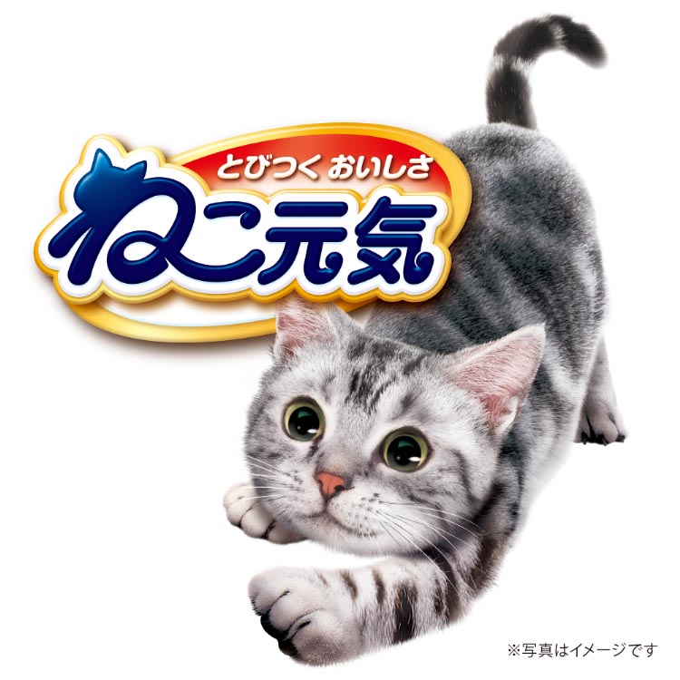 ねこ元気 お魚と野菜入りミックス ( 3.5kg )/ キャットフード