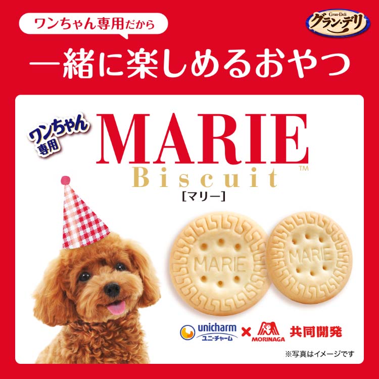 グラン・デリ ワンちゃん専用マリービスケット ミルク味 おやつ ( 50g 