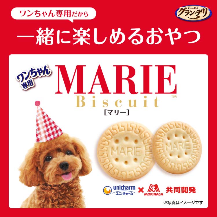 グラン・デリ ワンちゃん専用マリービスケット チーズ味 おやつ ( 50g