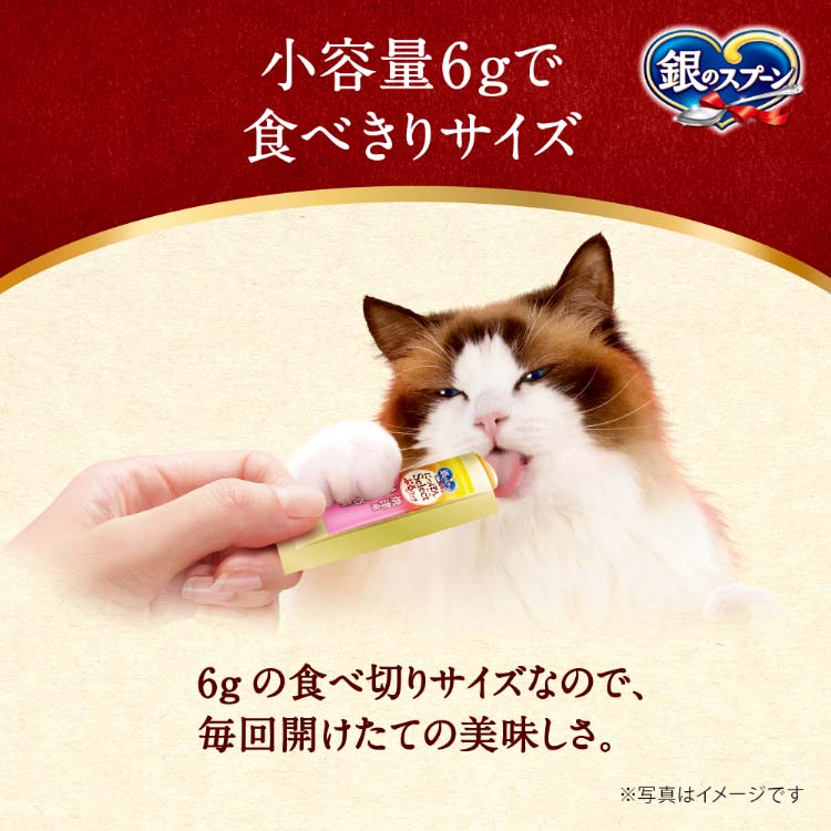 銀のスプーン にっぽんSelect ぷるリッチ まぐろ節使用 猫用おやつ