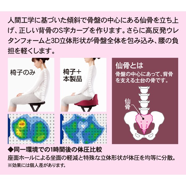 仙骨クッション 仙律 ネイビー ( 1個 ) : 爽快ドラッグ - 通販