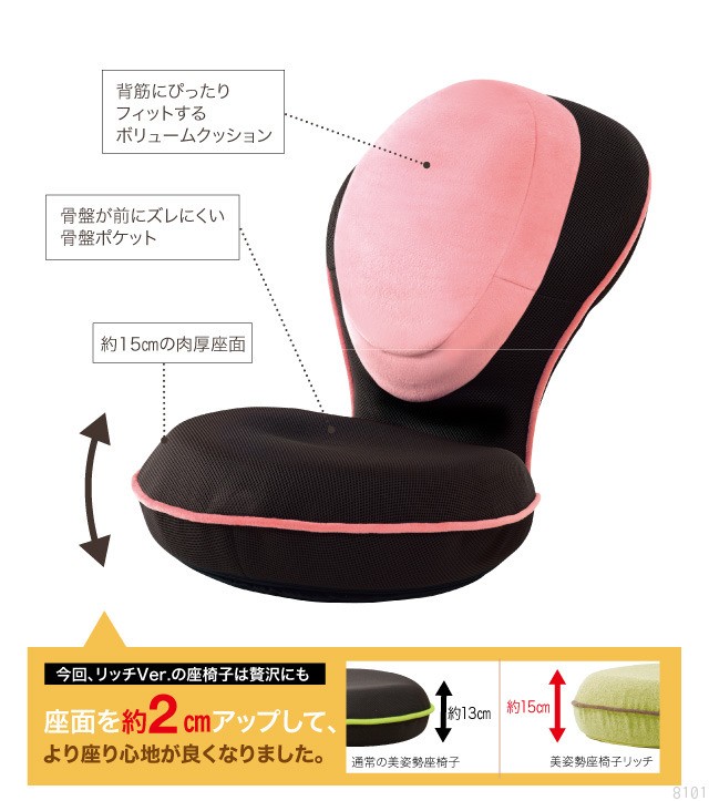 背筋がGUUUN美姿勢座椅子リッチ コーヒーブラウン ( 1個 )/ PROIDEA