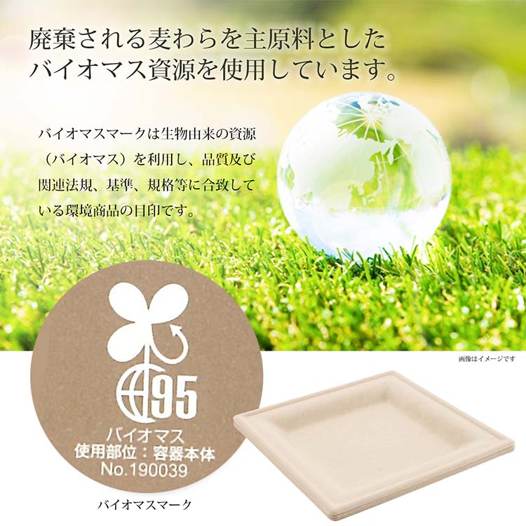 紙皿 使い捨て スクエアプレート 16cm MG-S03 ( 7枚入×5個