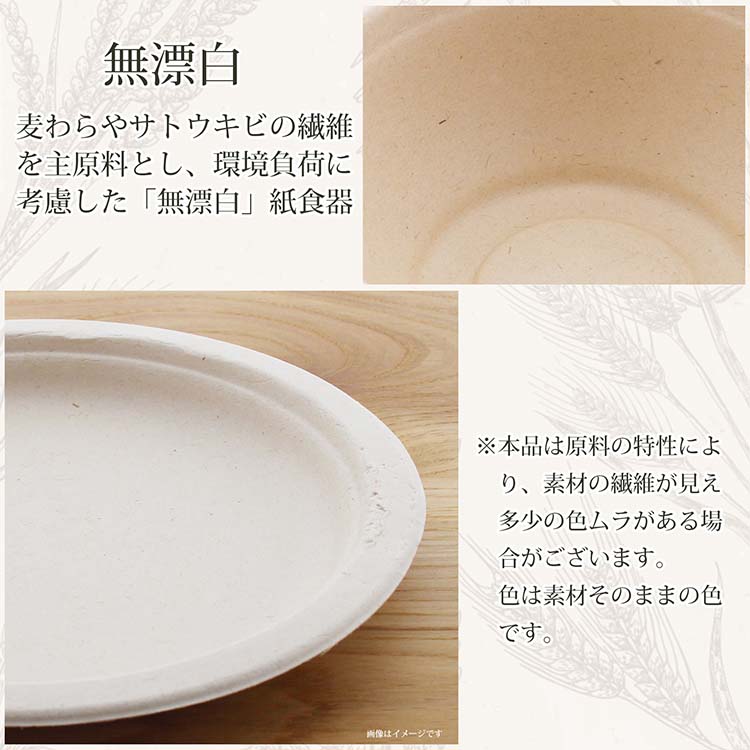紙皿 使い捨て スクエアプレート 20cm MG-S04 ( 5枚入×5個 紙皿 使い捨て スクエアプレート 20cm MG-S04 ( 5枚入×5個