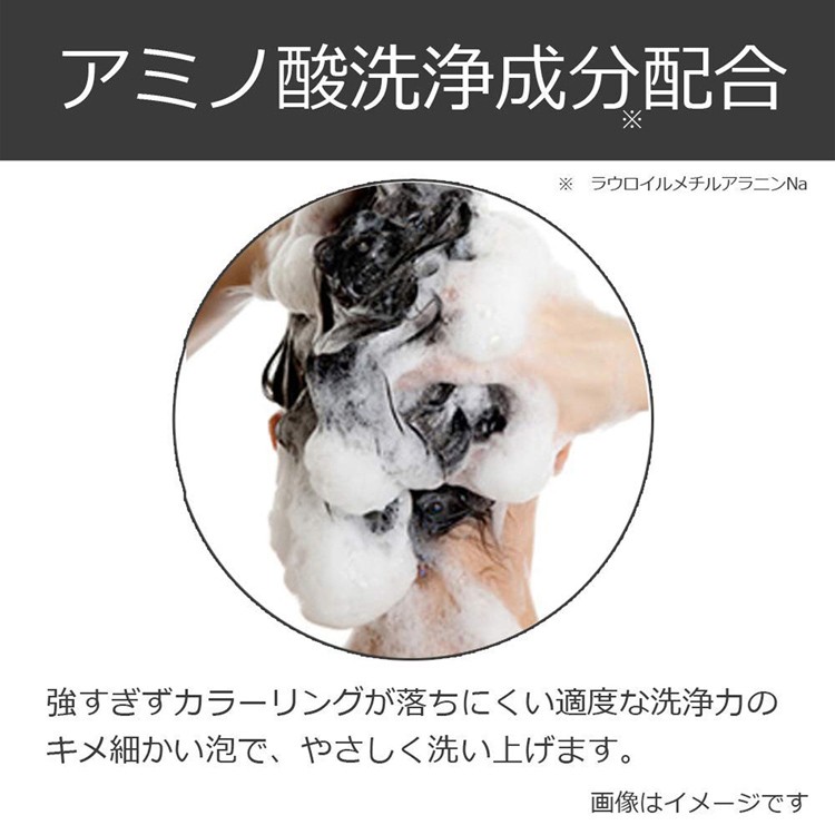 エブリ カラーシャンプー パープル・ワインレッド ( 300ml )/ : 爽快