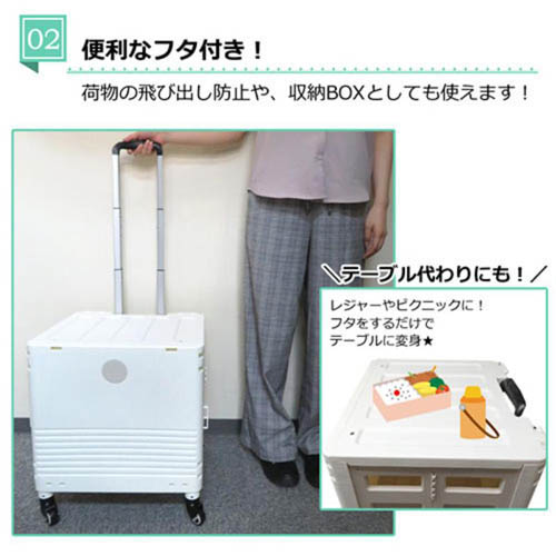 センター商事 キャリーコンテナ Lサイズ ブラック K-247-BK ( 1