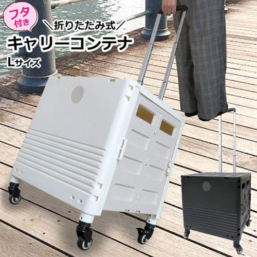 センター商事 キャリーコンテナ Lサイズ ブラック K-247-BK ( 1