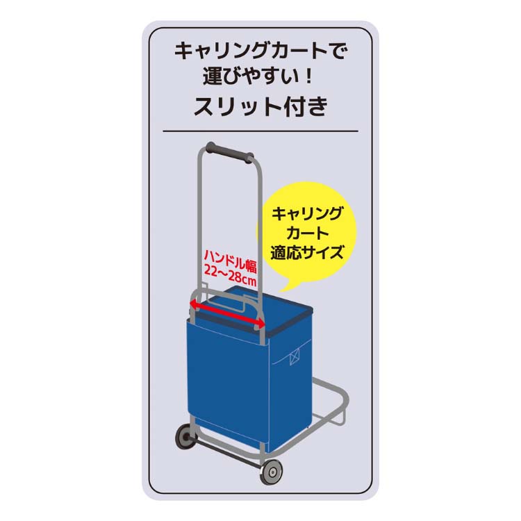 サーモス ソフトクーラー 20L RFD-020 BL ブルー ( 1個 サーモス ソフトクーラー 20L RFD-020 BL ブルー ( 1個