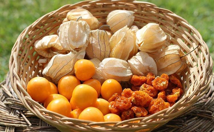 アルコイリスカンパニー 有機インカベリー ( 60g )/ アルコイリス