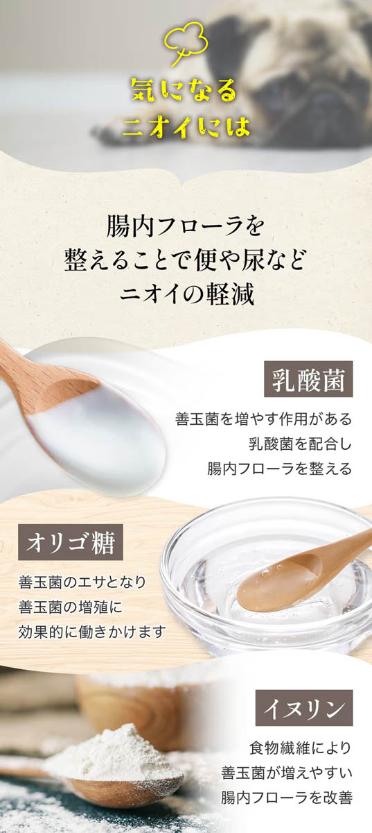 ミシュワン セミモイストフード 国産鶏肉＆馬肉 ( 800g )/ : 爽快