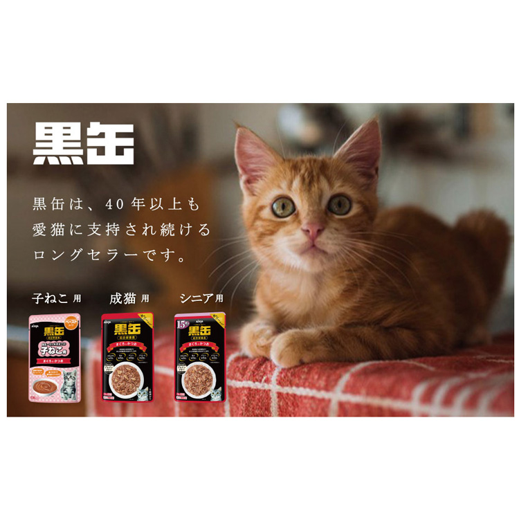 黒缶 パウチ 子ねこ用 まぐろとかつお やわらかゼリータイプ ( 60g*12