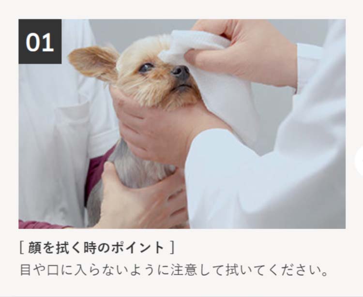 スキンクオール ( 24枚入 ) : 爽快ドラッグ - 通販 - Yahoo