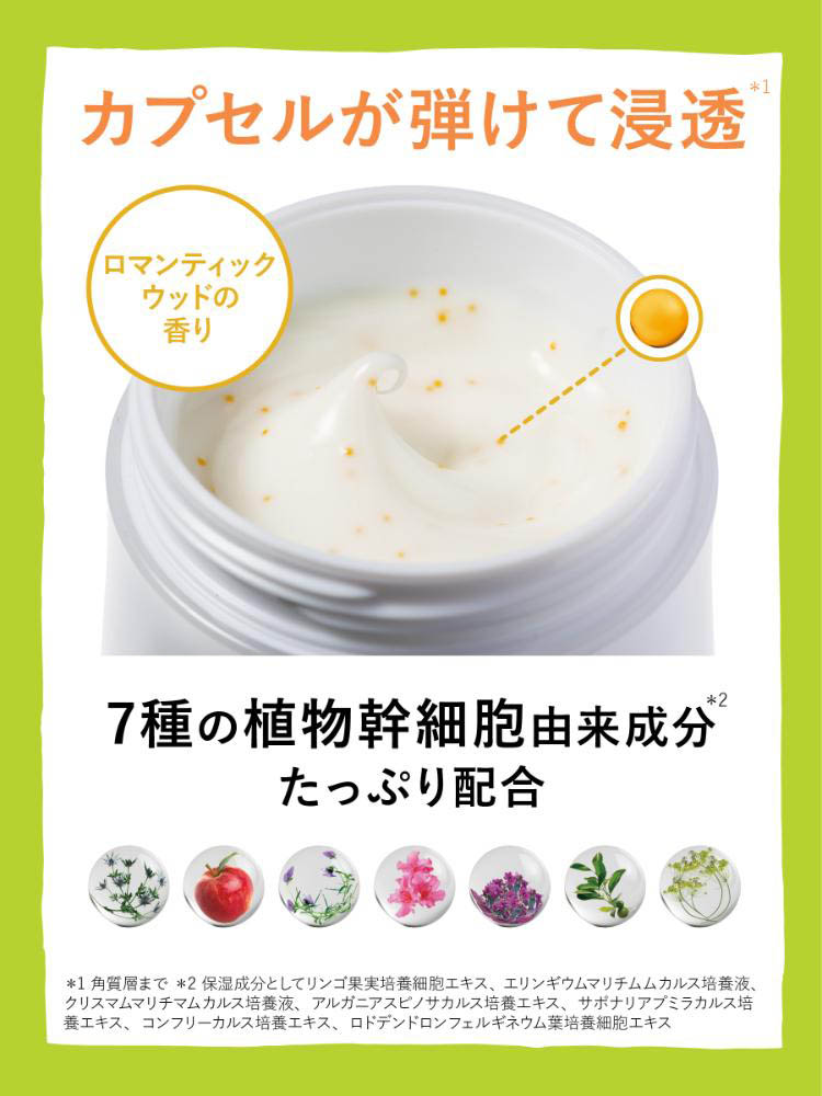 リッツ リバイバル ステム7 詰め替え ( 50g )/ LITS(リッツ) : 爽快