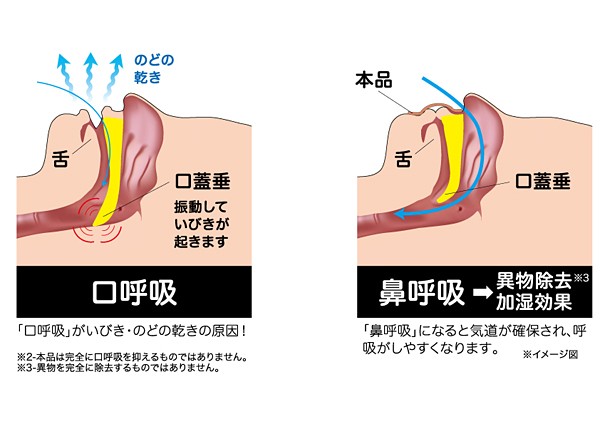 ドクタープロ ピタッと貼るだけ すやすやナイト ( 36枚入 )/ ドクター