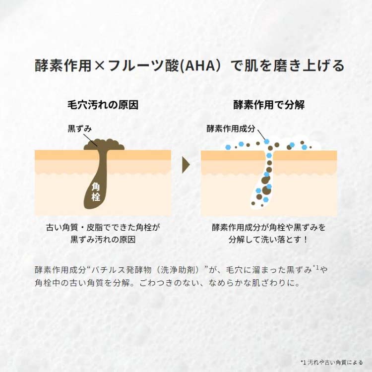 ONE STONE TWO BIRDS 洗顔だけじゃない+パックもできる洗顔料 ブラック
