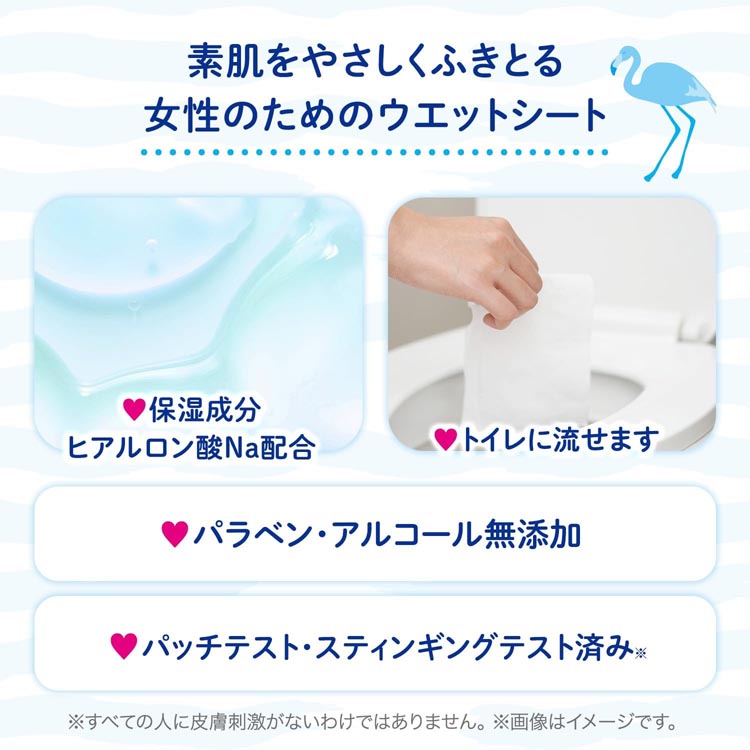 女性用 デリケートゾーン ウェットシート フェムウエット 無香料 ( 10