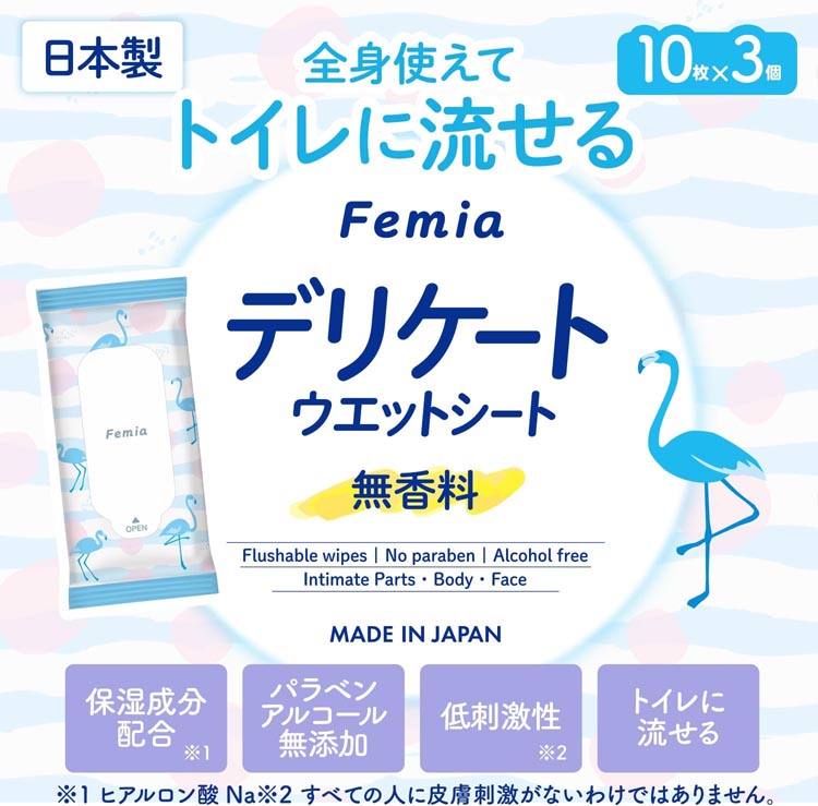女性用 デリケートゾーン ウェットシート フェムウエット 無香料 ( 10