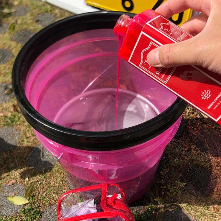 脱脂シャンプーポーチセット ( 350ml )/ ながら洗車 : 爽快