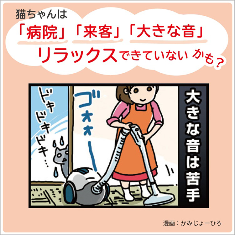 MiawMiawジューシー 15歳頃からのあじわいまぐろ ( 60g×12袋