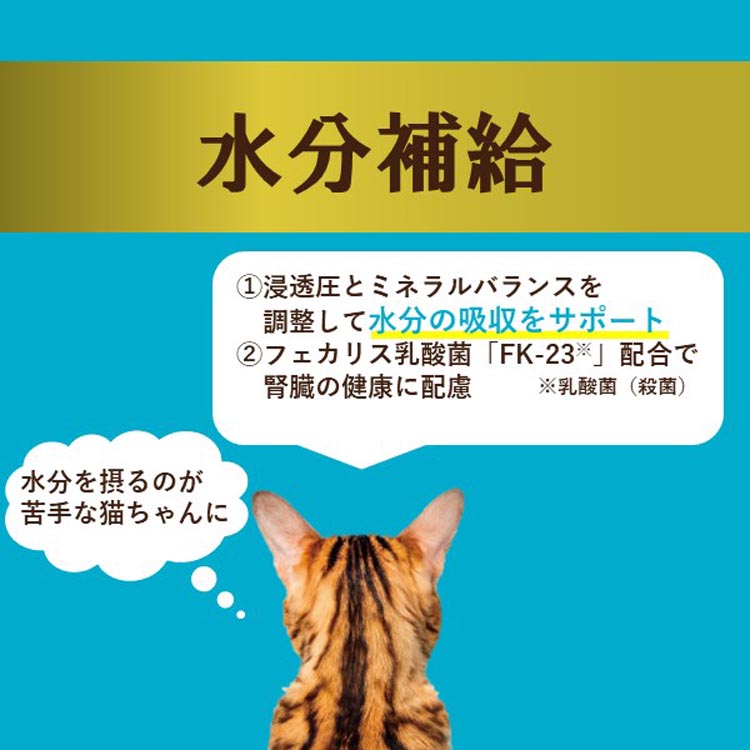 i CARE 水分補給 まぐろペースト ( 35g×12袋 )/ CARE(アイケア) : 爽快